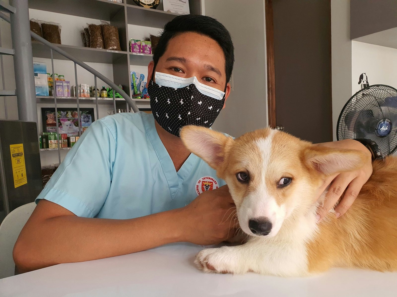 Veterinary care in Naalya