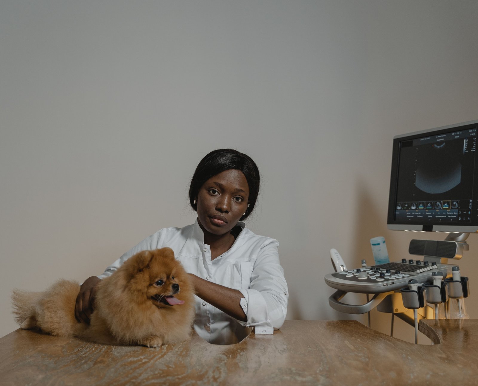 Experienced veterinary team